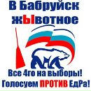 Фотография Чудакова Никиты