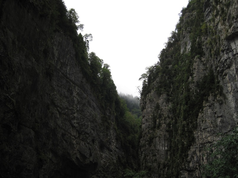 Дмитрий Бессонов фотография #21