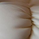 Маріан Тимофті фотография #24 (источник - https://vk.com/id134920018)