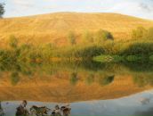 Рустем Лутфуллин фотография #28 (источник - https://vk.com/id8515565)