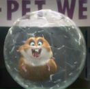 Фотография Ольховской Марии