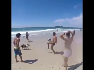 Собака играет в футбол