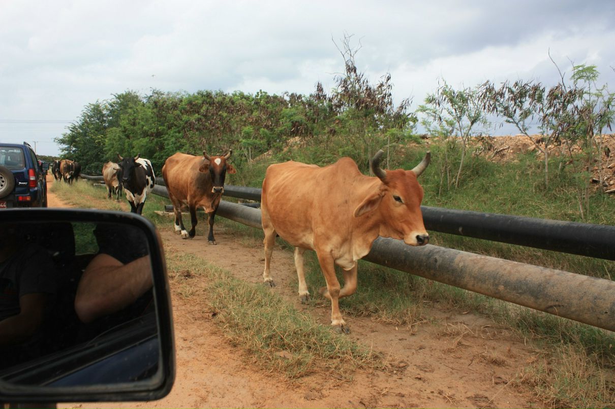 Сергей Коваленко фотография #41