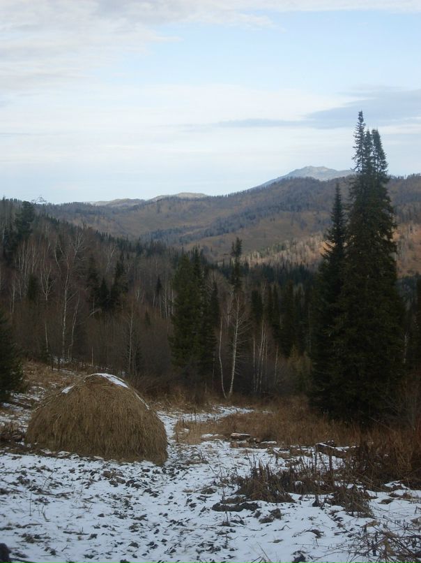 Даниил Железняков фотография #40