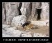  фотография #35