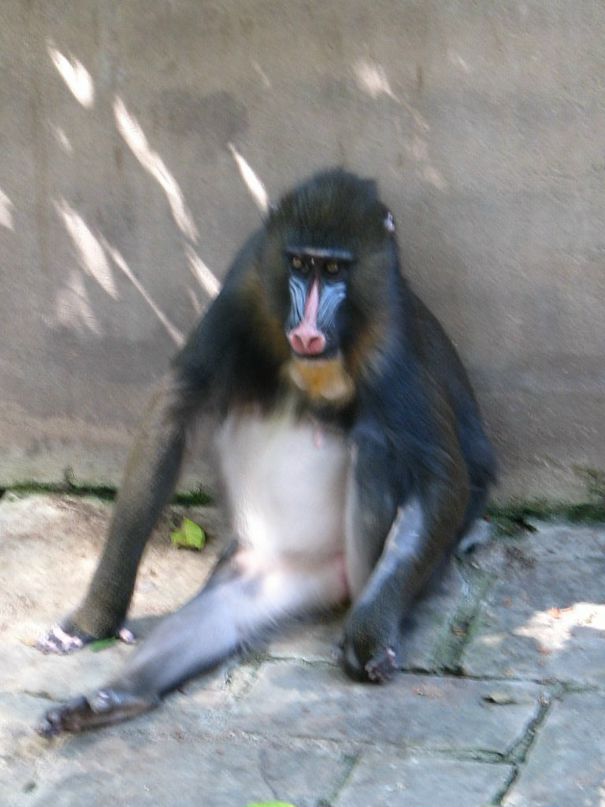 Dmitry Joy фотография #5