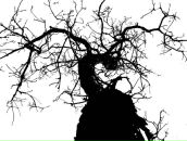 Сева Бугунлей фотография #26 (источник - https://vk.com/id775499)