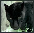 Фотография Постниковой Светы