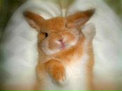 Ярослав Сільченко фотография #14 (источник - https://vk.com/id60388439)