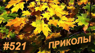 Приколы сентябрь 2019 №521