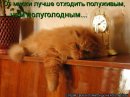 Ілона Любомирівна фотография #21 (источник - https://vk.com/id15087753)