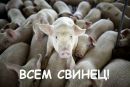 Віталік Герик фотография #16 (источник - https://vk.com/id80953216)