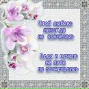 Ніка Ференс фотография #14 (источник - https://vk.com/id141730273)