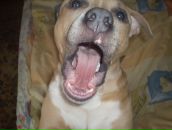 Серий Челядін фотография #9 (источник - https://vk.com/id7693308)