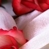 Ігор Личко фотография #27 (источник - https://vk.com/id23038848)