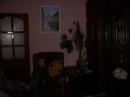 Κсения Γерасимова фотография #28 (источник - https://vk.com/id84847211)