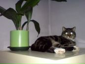 Надежда Тимофеева фотография #47 (источник - https://vk.com/id4454893)