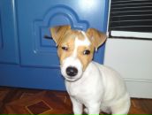 Фотография Вороничева Вадима