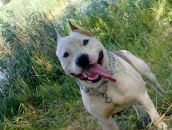 Фотография Назарова Николая