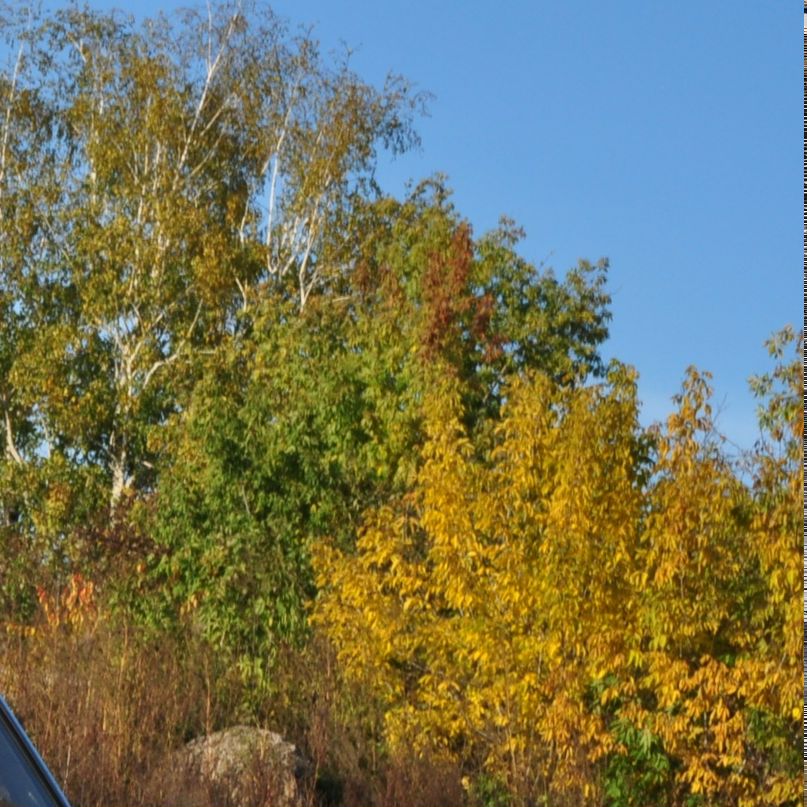 Ринат Халимов фотография #22