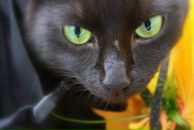 Фотография Скороход Тамары