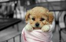 Коханий ♥♥♥♥♥ фотография #23 (источник - https://vk.com/id96742588)