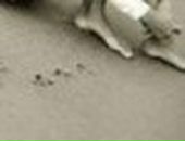 Марійка Савицька фотография #39 (источник - https://vk.com/id37940401)