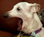 Фотография Китаева Александра