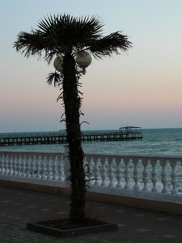 Александр Синченко фотография #3