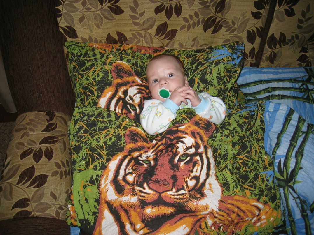 Роман Щемелев фотография #12