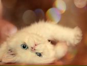 Фотография Стрельцовой Аньчик