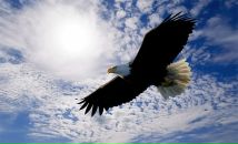 Фотография Каданёва Олега