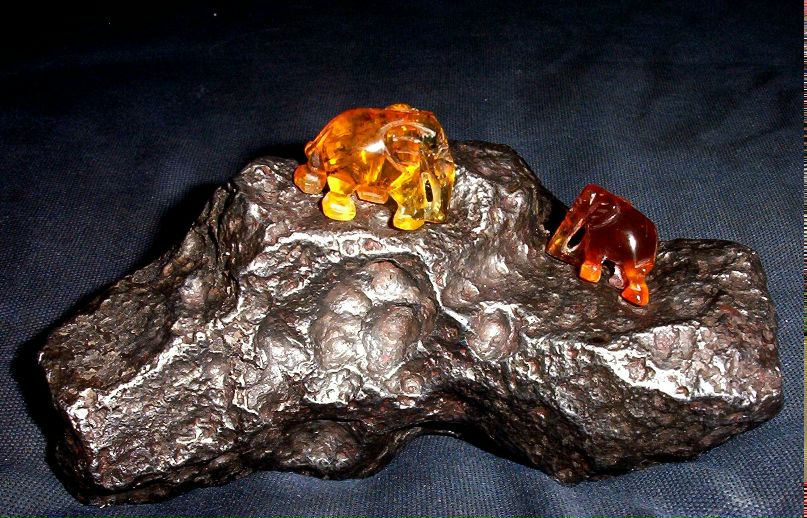 Лев Августский фотография #13