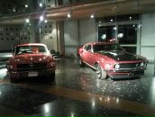 Дим Ка фотография #17 (источник - https://vk.com/id801296)