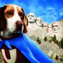 Фотография Tinytot Di