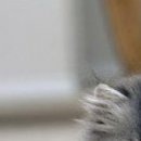 Карішка Макарук фотография #40 (источник - https://vk.com/id147995841)