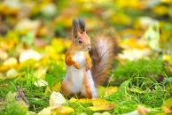 Фотография Берзой Нины