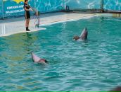 Юля Камінська фотография #37 (источник - https://vk.com/id68986702)