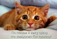 Вадім Павленко фотография #1