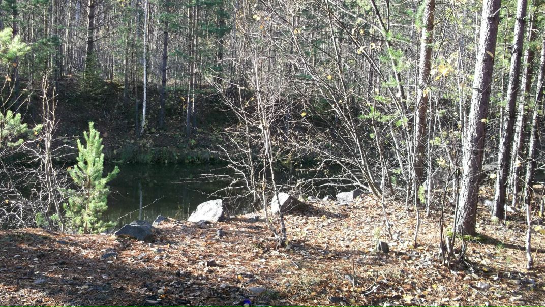 Александр Бабенко фото №29