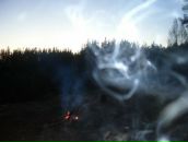 Фотография Краковского Дмитрия