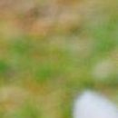 Юля Матвійчук фотография #36 (источник - https://vk.com/id135907201)