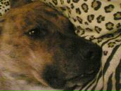 Максим Куварзін фотография #39 (источник - https://vk.com/id6530006)