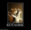 Фотография Дмитрий Жолудев