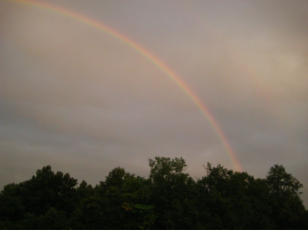 Дмитрий Линьков фотография #22