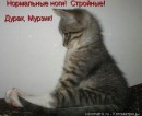 Мирослава Двуліт фотография #5 (источник - https://vk.com/id170560386)
