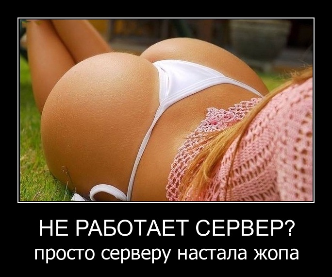 Сергей Шредер фотография #22