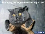 Сергій Лаврук фотография #35 (источник - https://vk.com/id85114239)