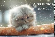 Фотография Дашковой Веры