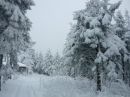 Сєрий Ліщук фотография #28 (источник - https://vk.com/id59694193)